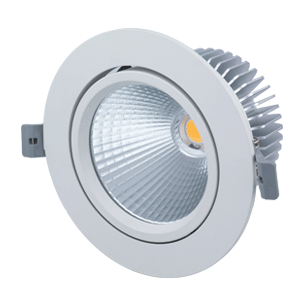 LED-DOWNLIGHT-NEWTON-L-30W
